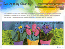 Tablet Screenshot of eyeopeningcleaning.com